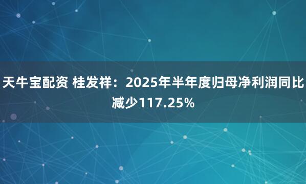 天牛宝配资 桂发祥：2025年半年度归母净利润同比减少117.25%