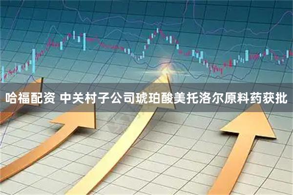 哈福配资 中关村子公司琥珀酸美托洛尔原料药获批
