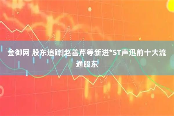 金御网 股东追踪|赵善芹等新进*ST声迅前十大流通股东