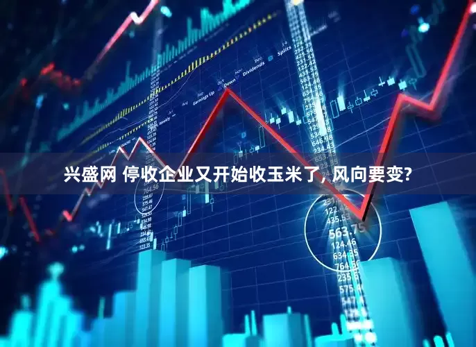 兴盛网 停收企业又开始收玉米了, 风向要变?