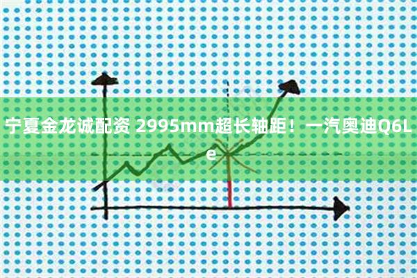 宁夏金龙诚配资 2995mm超长轴距！一汽奥迪Q6L e